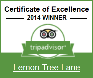 tripadvisor certificate of excellence